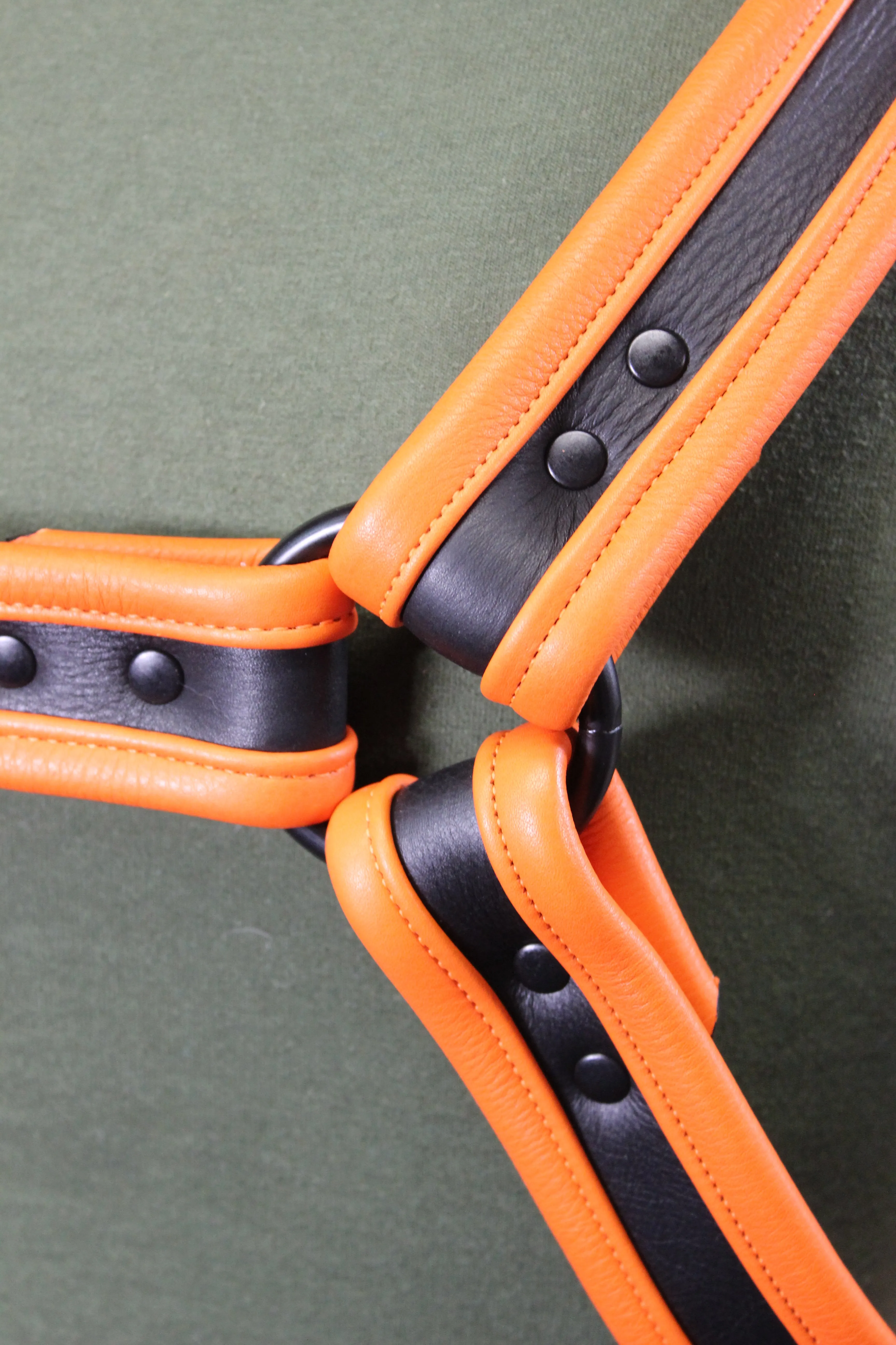 Black and Orange Bulldog Harness and Jock Combo!