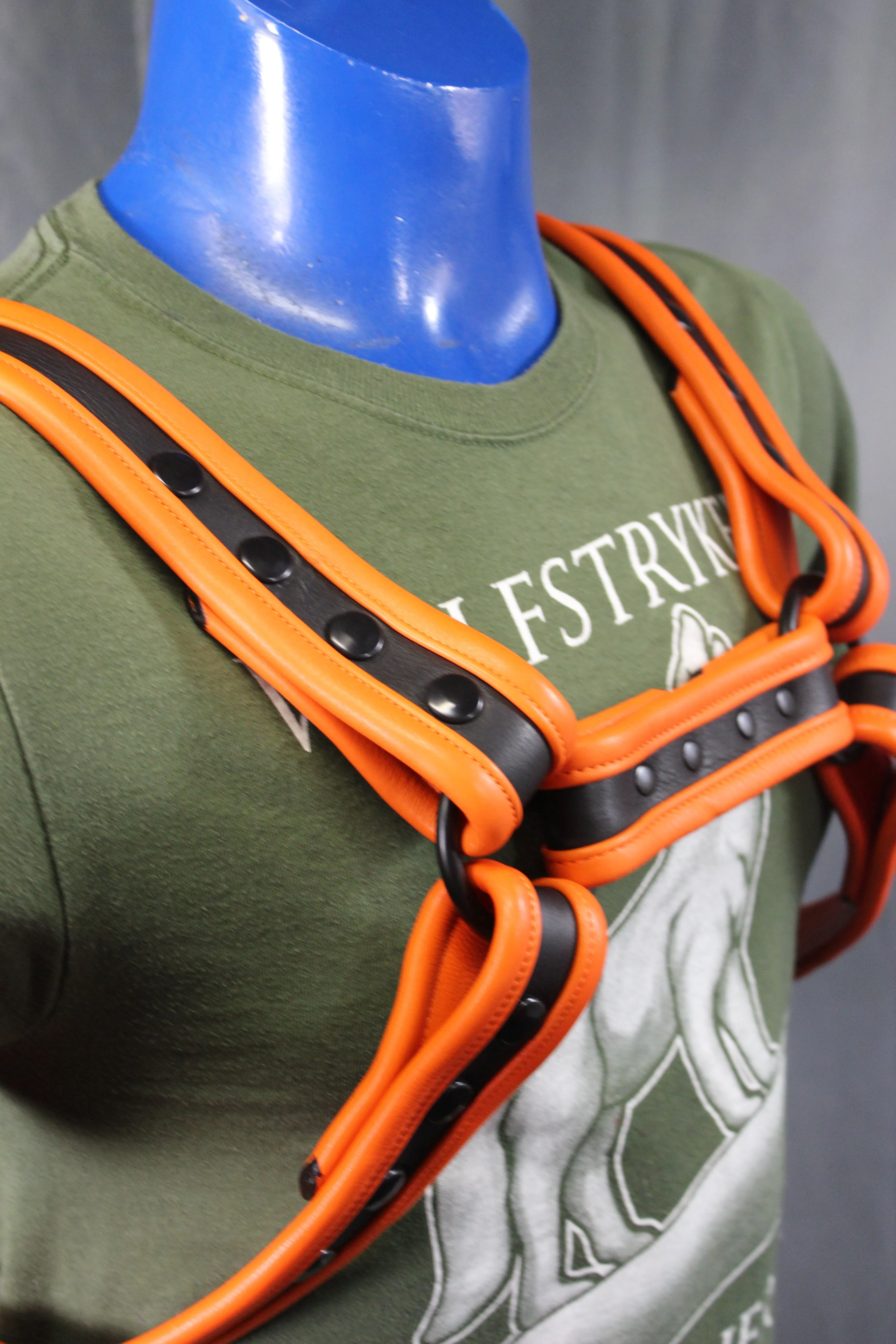 Black and Orange Bulldog Harness and Jock Combo!