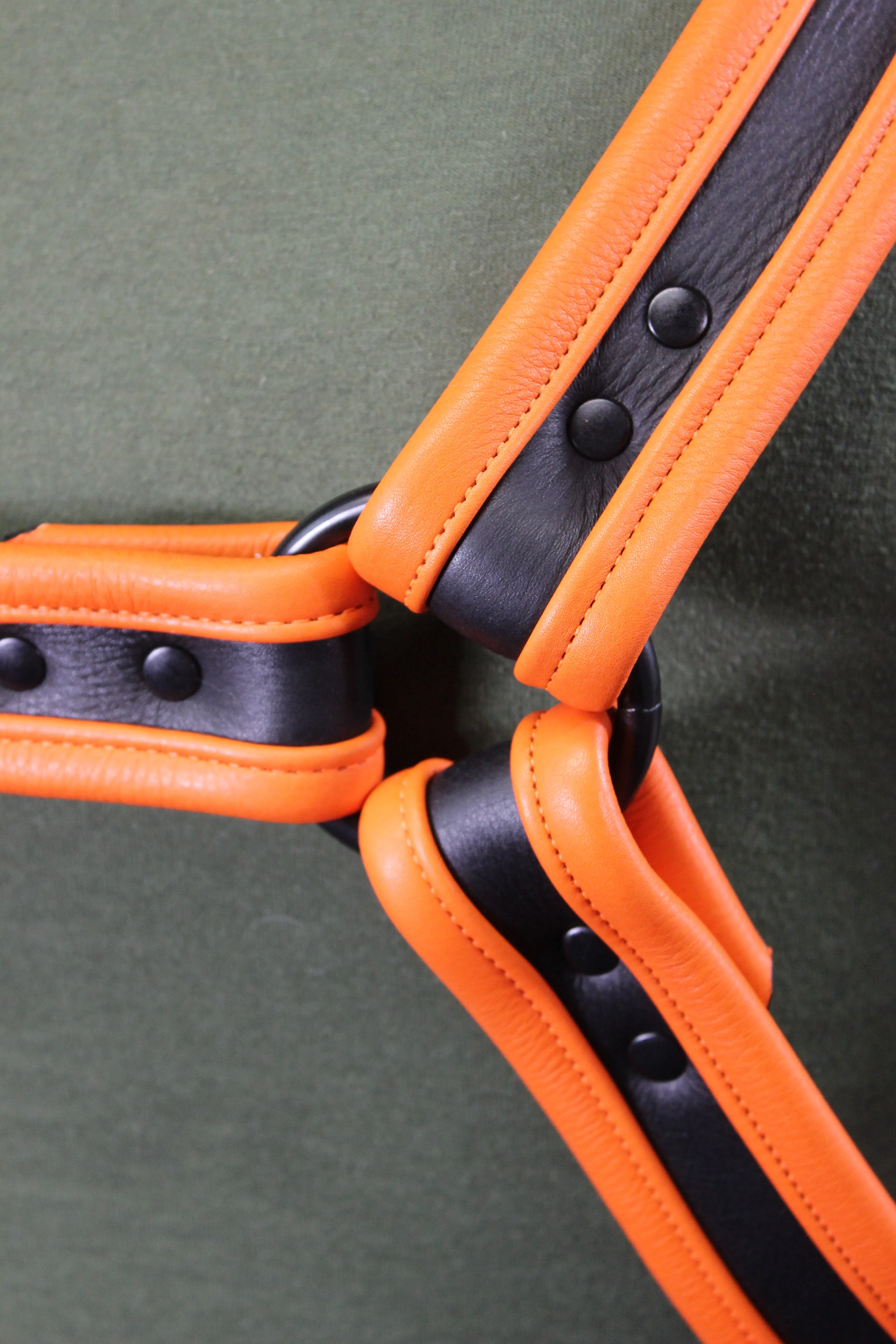 Black and Orange Bulldog Harness and Jock Combo!