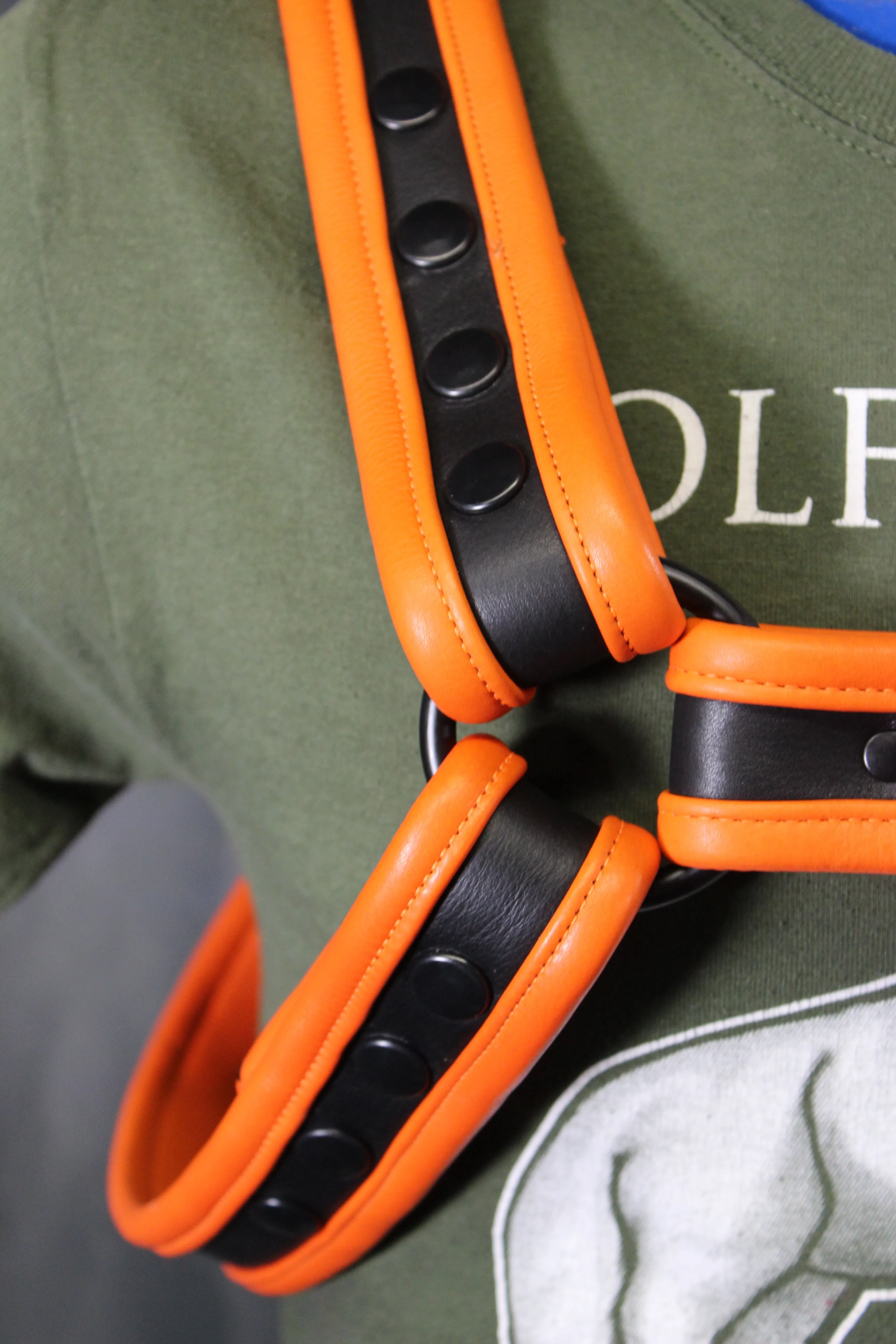 Black and Orange Bulldog Harness and Jock Combo!