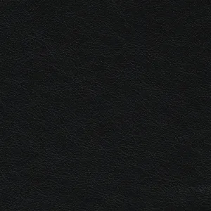 Cortina Black Leather Swatch