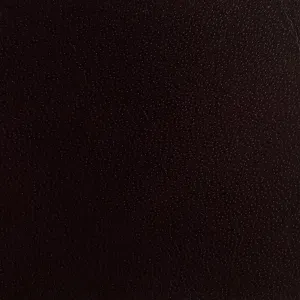 Dark Brown Leather Swatch